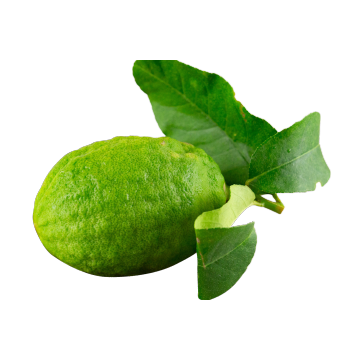 Fragrant Yunnan Perfume Lemon For Hotel Catering