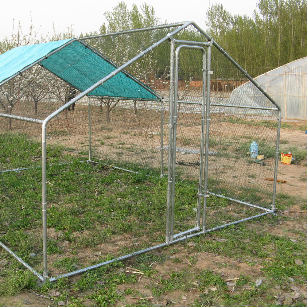 Walk In Metal Chicken Run For Cat Rabbit China Manufacturer