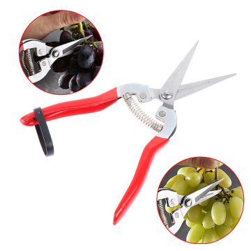 Garden Pruning Shear High Carbon Steel Scissors Grafting Bonsai Tool Fruit Tree Flowers Branch Pruner Trimmer Garden Tools