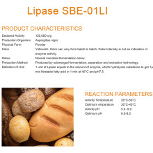 Concentrated Lipase enzyme for dairy