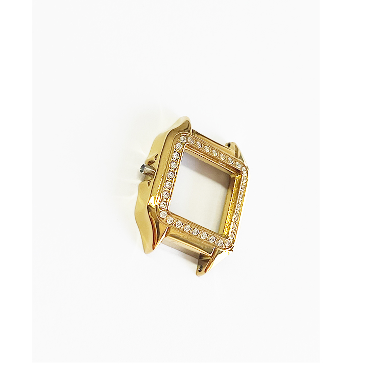 gold watch case 
