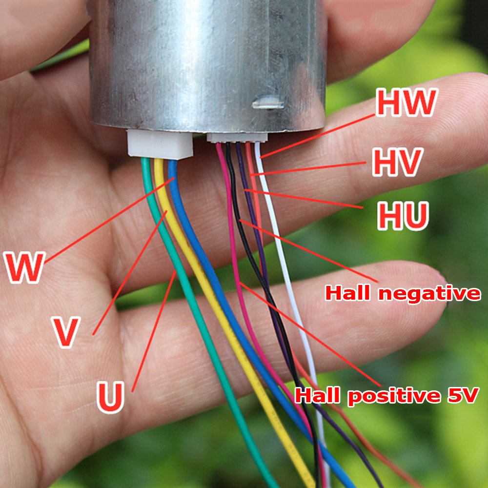 Brushless Motor DC Motor with Hall 36mm Three-phase Feeling Imported Nidec 12V DC High Speed Small Motor