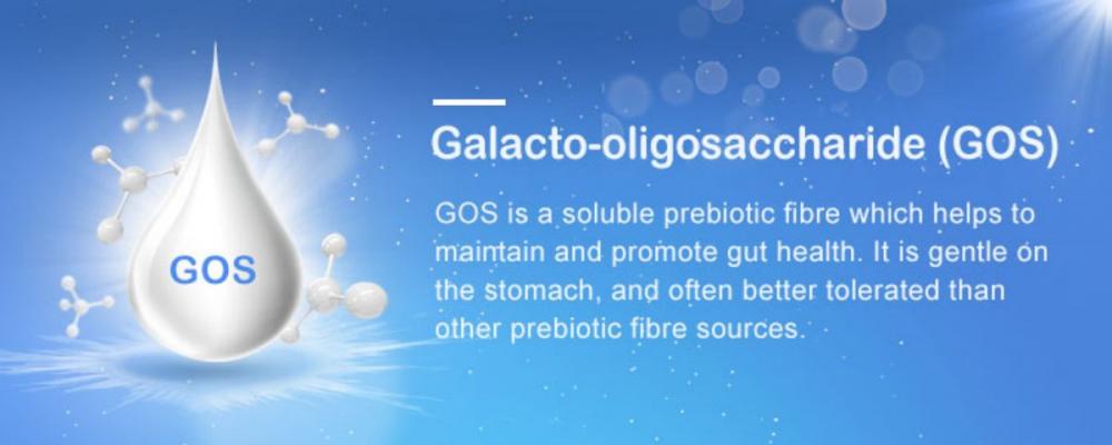 Galacto Oligosaccharide25