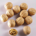 Welcome to choose and buy organic walnuts
