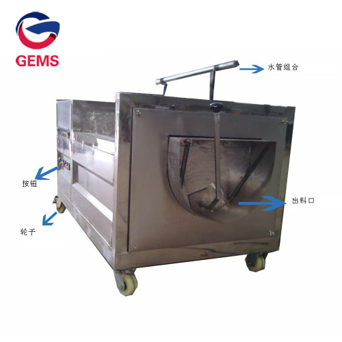 Lotus Washer Cleaner Lotus Root Washing Polishing Machine for Sale, Lotus Washer Cleaner Lotus Root Washing Polishing Machine wholesale From China