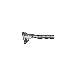 Factory supplied for Proximal Femoral Locking Plate Dorsal Distal Radius Plates export to French Polynesia Factory