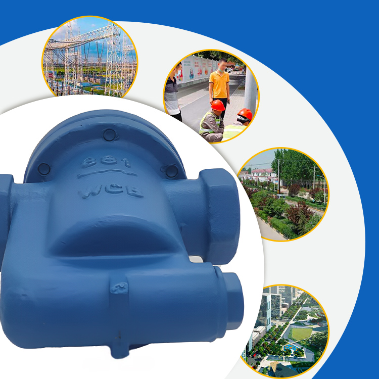 Inverted drain valve