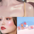 Blush Highlight Dual-use 2-In-1Bicolor Used On Face Shoulders Collarbone Long-lasting Brighten Skin Color Makeup Cosmetics TSLM1