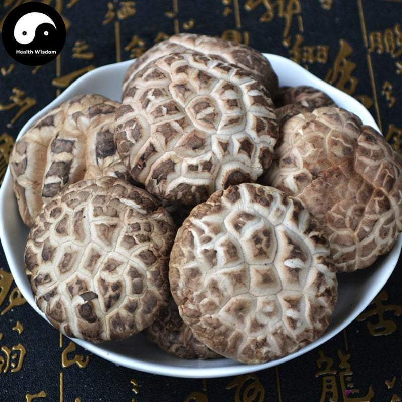 Lentinan Mushroom, Chinese Shiitake Mushroom