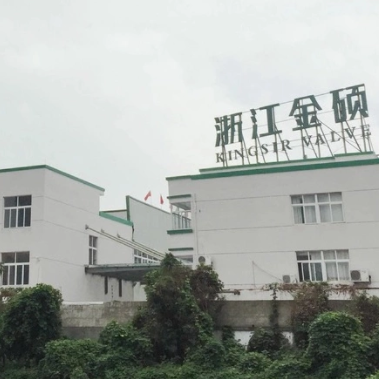 Company Of Gas Valves