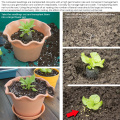 1/5/20pcs Seedling Soil Block Compressed Block Gardening Tool Potted Plant Seed Nursery Pot Nutritional Soil Peat Pellets
