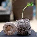 30mm Peat Flower Pot Plants Molds Seeds Flower Starting Plugs Pallet Flowers Seedling Soil Block Green Network Easy To Use