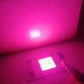NEW 50W 110V/220V cob led grow light chip full spectrum 380nm-840nm for Indoor Plant Seedling Grow and Flower