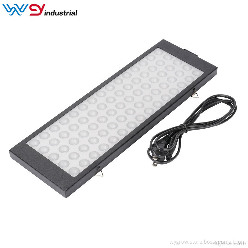 Led grow lights for indoor plants