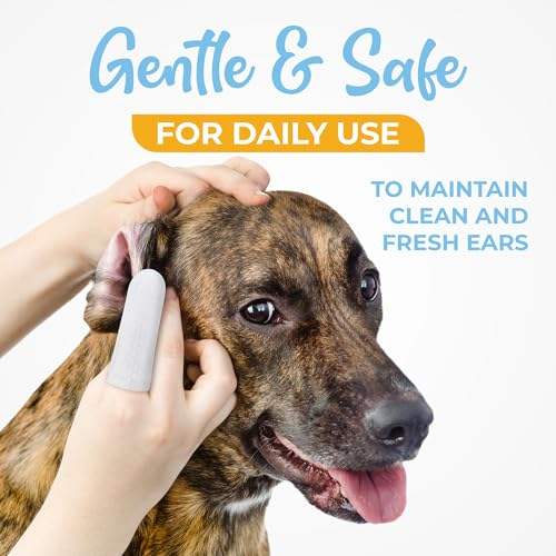 H308936d36d6145fabd733fbaa0b5cfa7q