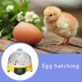 7 Egg Incubator Household Small Automatic Incubator Separate Egg Tray Smart Mini Incubator Incubation Equipment