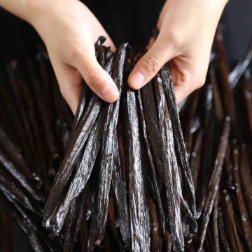 Grade A Vanilla Beans Premium Gourmet Madagascar Bourbon Vanilla Bean with Vacuum Sealed Packing