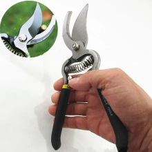 Professional 8 inch garden Scissors Fruit Tree Pruning Shears Bonsai Pruners Grafting Cutter garden tools