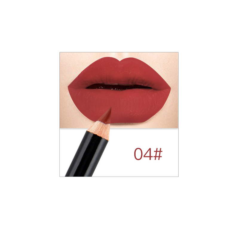 Waterproof Matte Lip Liner Lipstick Pen Makeup Tool New 12 Colors Fashion Lip Makeup Pencils Long Lasting Pigments TSLM1