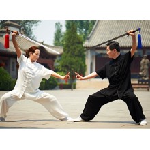 Summer cotton and silk Kung Fu Uniforms Short Sleeves Tai Chi Martial Arts Clothing Wingchun Taiji Wear Wu Shu Performance Suit