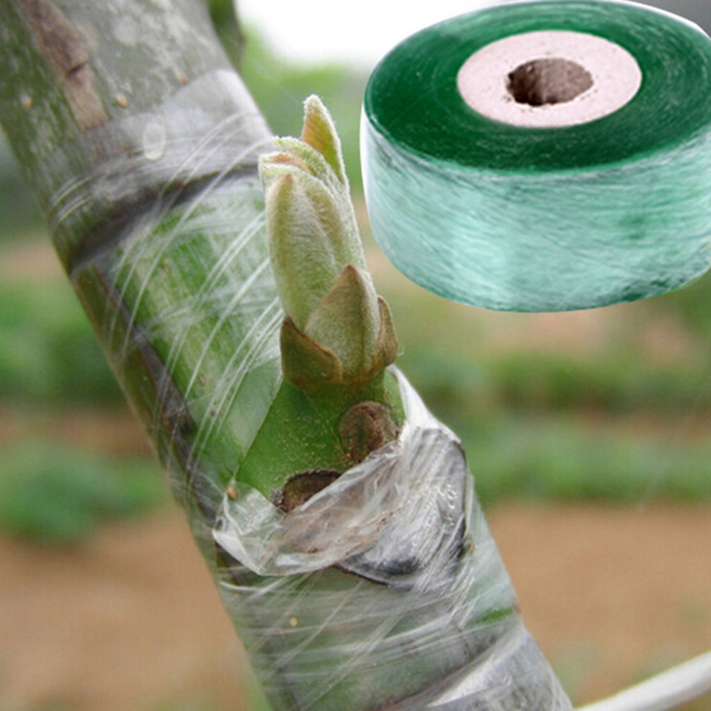 1Roll Lants Tools Nursery Grafting Tape Stretchable Self-adhesive Garden Flower Vegetable Grafting Tapes Supplies 2cm x 100m