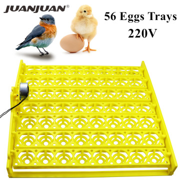 Egg Incubator Automatic 56 Plastic Bird Eggs Duck Chicken Eggs Hatching Machine 220V Incubator Trays with Auto Turn Motor 40%off