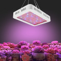 Best Led Grow Lights For Indoor Plants 1000w