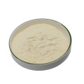 Aloe Vera Gel Freeze Dried Powder 100:1