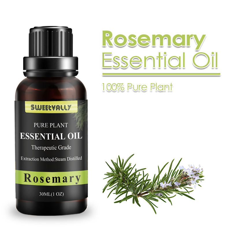 30ML Rosemary Essential Oil Reduce Anxiety Essential Oil Air Freshening Essential Oil For Enhance Memory Respiratory System