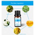 10ml Nose Lift Up Essential Oils Nose Up Lifting Shaping 100% Pure Natural Essential Oils