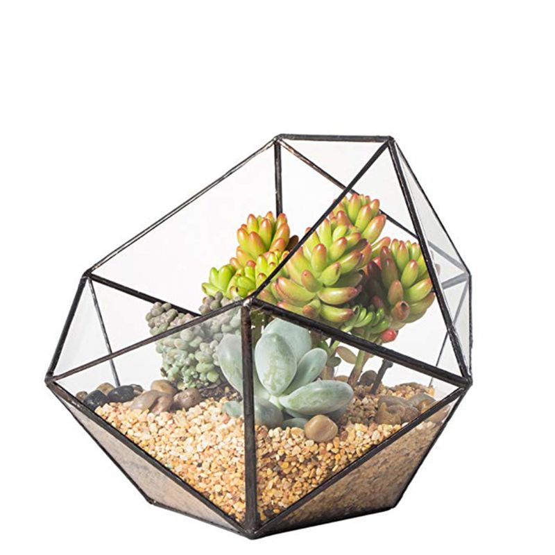 2021 New Glass Terrarium Storage Box Jewelry Holder,Glass Geometric Terrarium Tabletop Succulent Plant Box Planter Holder
