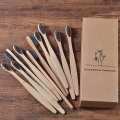 10PC Bamboo charcoal