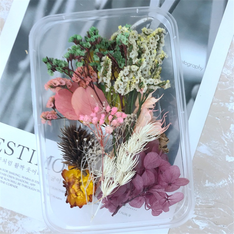 1 Box Real Mix Dried Flower Dry Plants For Valentine's Day Gift Pendant Necklace Jewelry Making Craft DIY Accessories