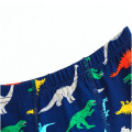 1 Pcs Kids Boys Underwear Dinosaur Boxer Cotton Children's Underwear Boys Boxer Briefs Cartoon Dinosaur Kids Boy Underwear
