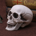 2019 NEW Plastic Mini Human Skull Decor Prop Skeleton Head Halloween Coffee Bars Ornament Dropshipping