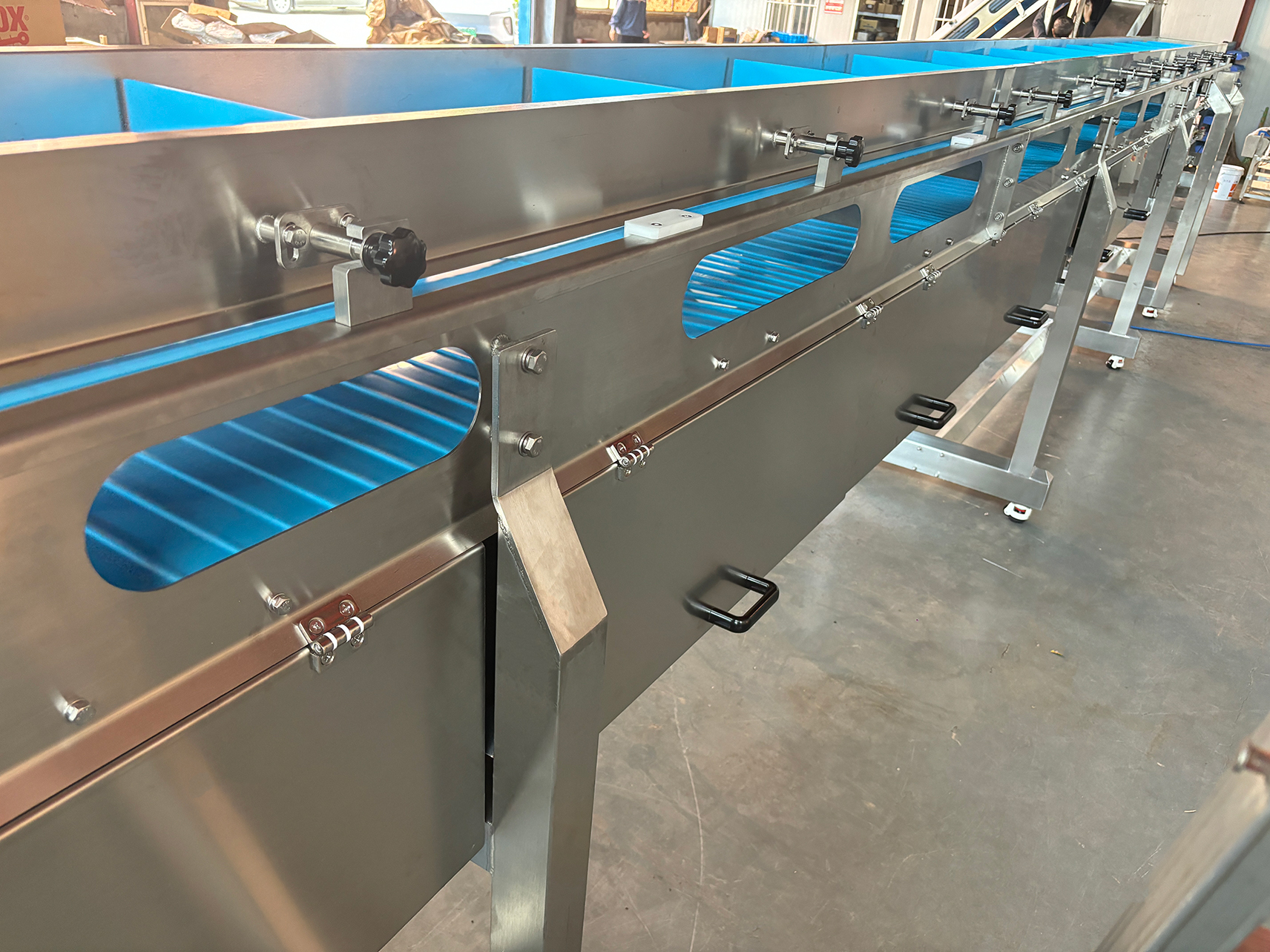 nuts conveyor