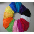 Wholesale 50pcs / A lot of beautiful ostrich feathers 12-14 inches / 30-35 cm multiple colors are available