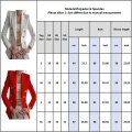 Top Quality New Fashion 2020 Designer Blazer Jacket Women's Double Breasted Metal Buttons Blazer Outerwear Office Lady coat D30