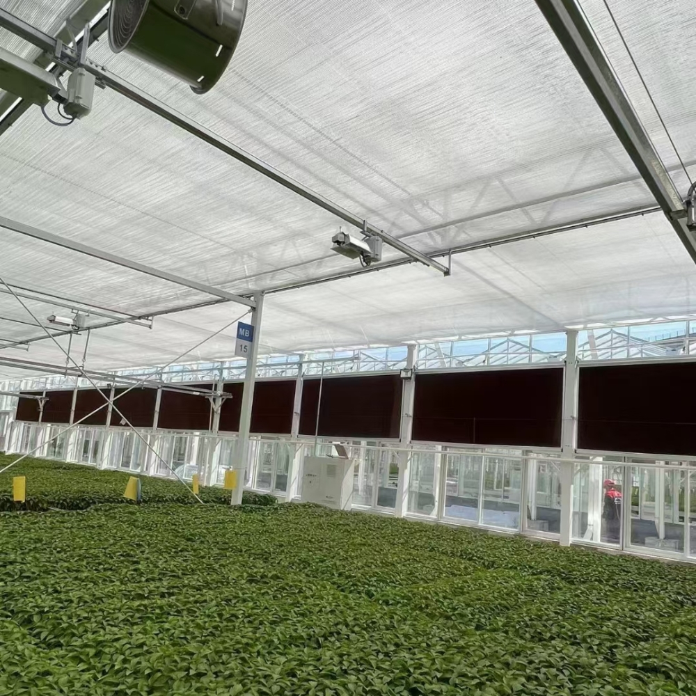 Arched PC Greenhouse