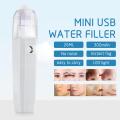 Portable Facial Steamer Face Sprayer Nano Humidifier Skin Care Facial Massage Skin Care Tools Women Beauty USB Nebulizer