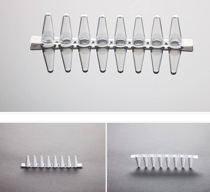 8 Strip PCR Tubes