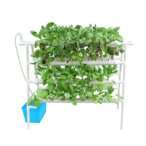 Indoor planting A Hydroponics plastic growing system Manufacturers and Indoor planting A Hydroponics plastic growing system Suppliers