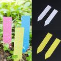 100Pcs Mini Plastic Plant Label Pot Marker Nursery Garden Stake Tags Tool Thick Tag Markers for Plants Garden Decoration