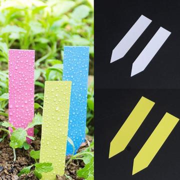 100Pcs Mini Plastic Plant Label Pot Marker Nursery Garden Stake Tags Tool Thick Tag Markers for Plants Garden Decoration