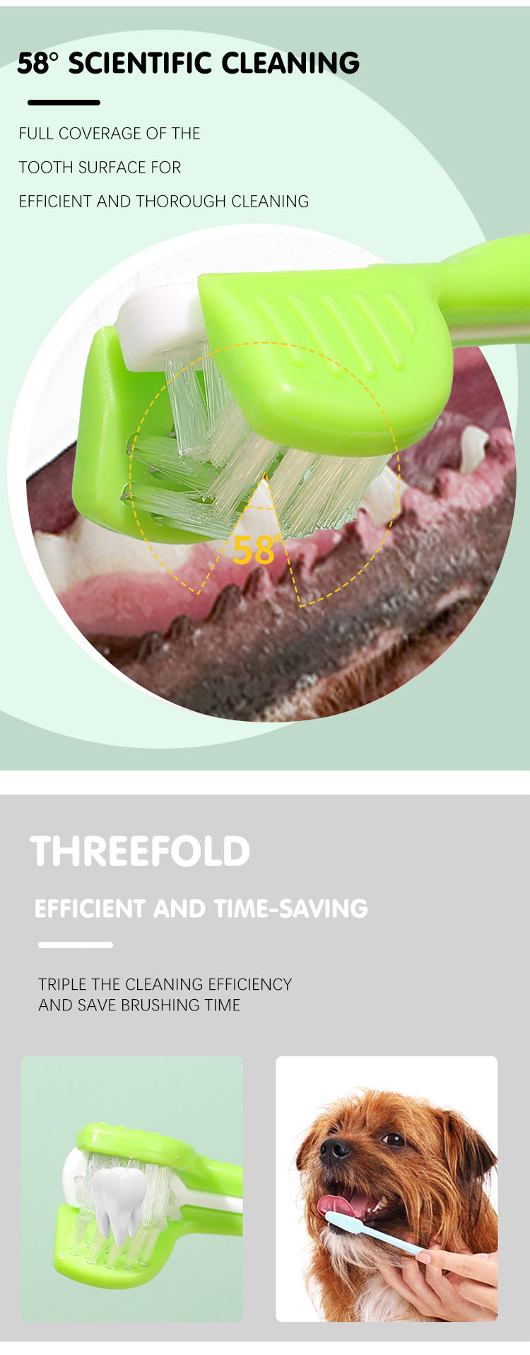 TB207 PET TOOTHBRUSH (1)