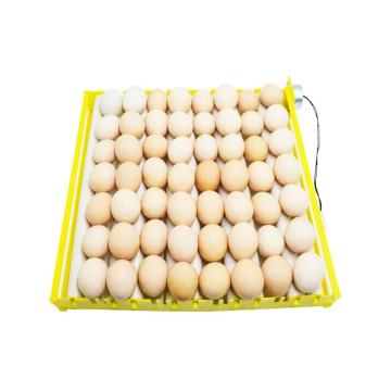 56 Eggs Mini Incubator Hatcher Automatic Egg Turning Tray Tool with Motor Egg Incubators Ducks Goose Birds 220v/110v/12v