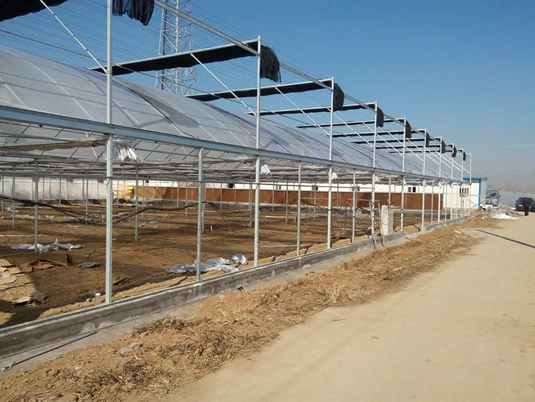 Arch type green house 