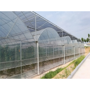 Functional Film Multi Span Greenhouse