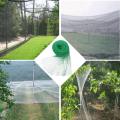 AA Anti Bird Netting Plastic Pond Fruit Tree Vegetables Net Protection Crops Flower Garden Mesh Protect Net Pest Control