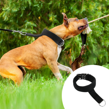 Dog Training Collar Soft Padded Dogs Collars Necklace Strong Durable For Pitbull Medium Large Dogs Pet Training Products